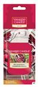 Picture of Red Raspberry Car Jars Karton