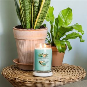 Picture of ALOE & AGAVE SIGNATURE LARGE JAR