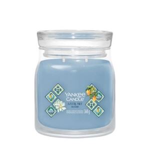 Picture of Azure Sky Signature Medium Jar