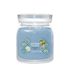 Picture of Azure Sky Signature Medium Jar