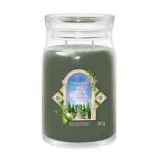 Picture of Olive & Cypress Signature Large Jar